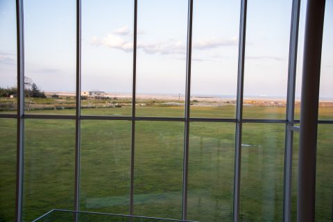 DSC_8446.jpg