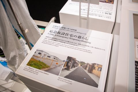 DSC_8413.jpg