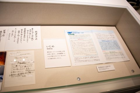 DSC_8412.jpg