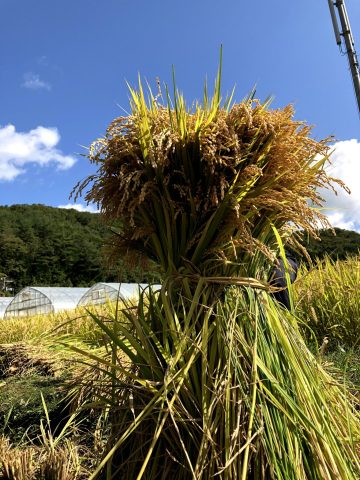 LINE_ALBUM_復興知学講義・フィールド学習20211001-03_211006_27.jpg