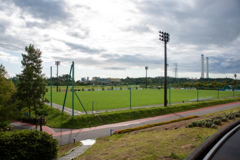 DSC_8155.jpg
