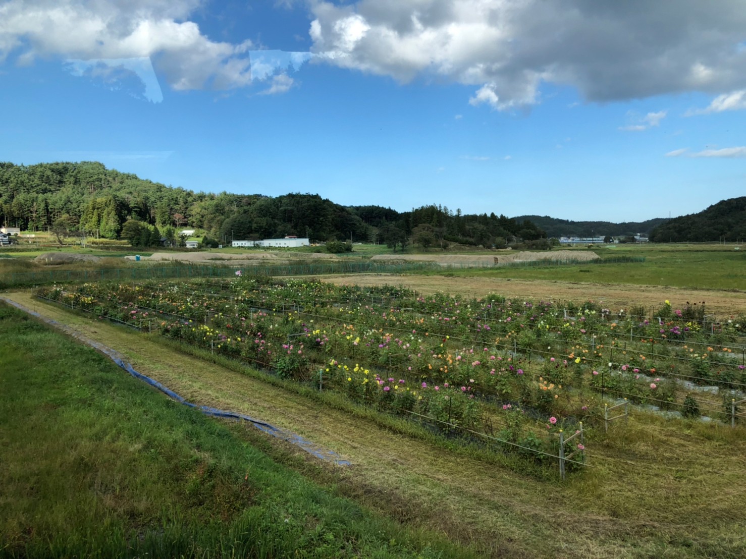 LINE_ALBUM_復興知学講義・フィールド学習20211001-03_211006_61.jpg