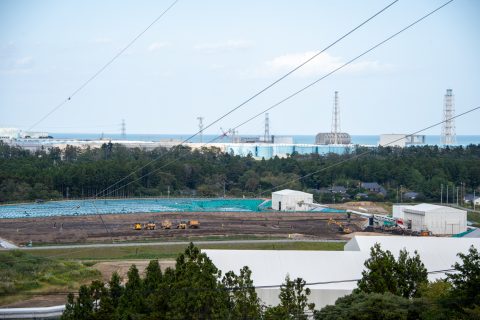 DSC_8309.jpg