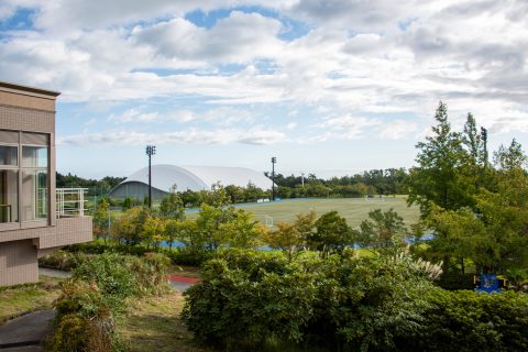 DSC_8156.jpg