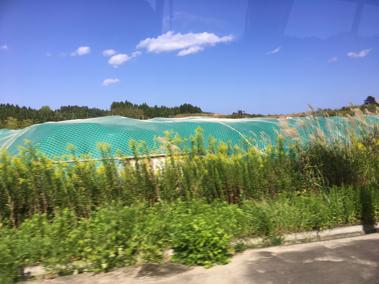 LINE_ALBUM_復興知学講義・フィールド学習20211001-03_211006_123.jpg