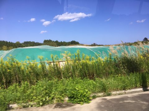LINE_ALBUM_復興知学講義・フィールド学習20211001-03_211006_123.jpg