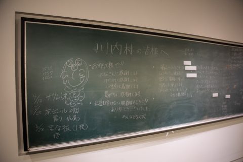 DSC_8390.jpg