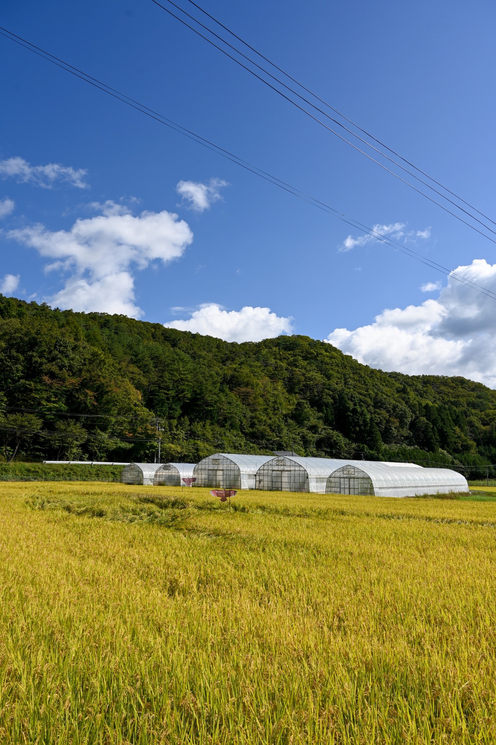 LINE_ALBUM_復興知学講義・フィールド学習20211001-03_211006_90.jpg