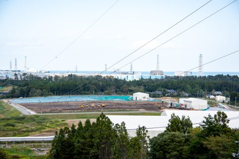 DSC_8311.jpg