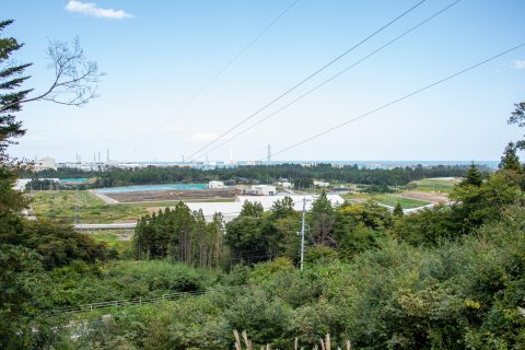 DSC_8305.jpg