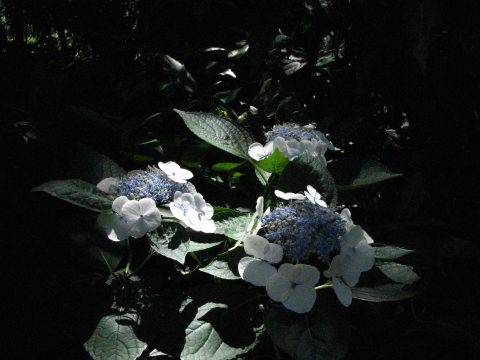 20394b8e-1eb6-45b8-9a10-38ae7161099f.jpg