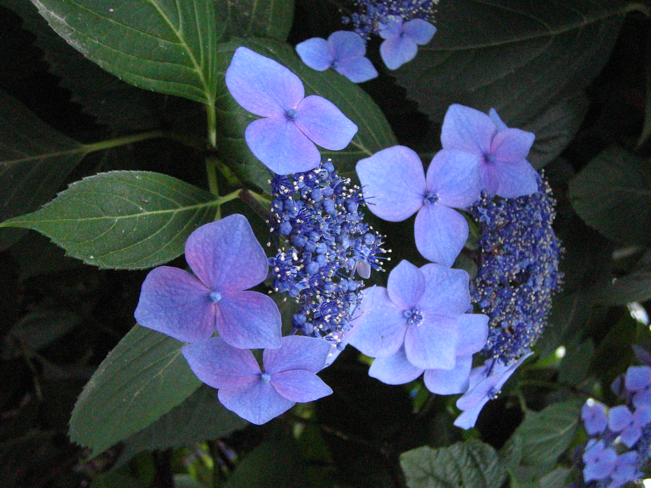 40e4adf0-e2ae-4d7d-895a-5f0c9854ca83.jpg