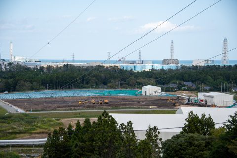 DSC_8313.jpg