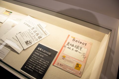 DSC_8416.jpg