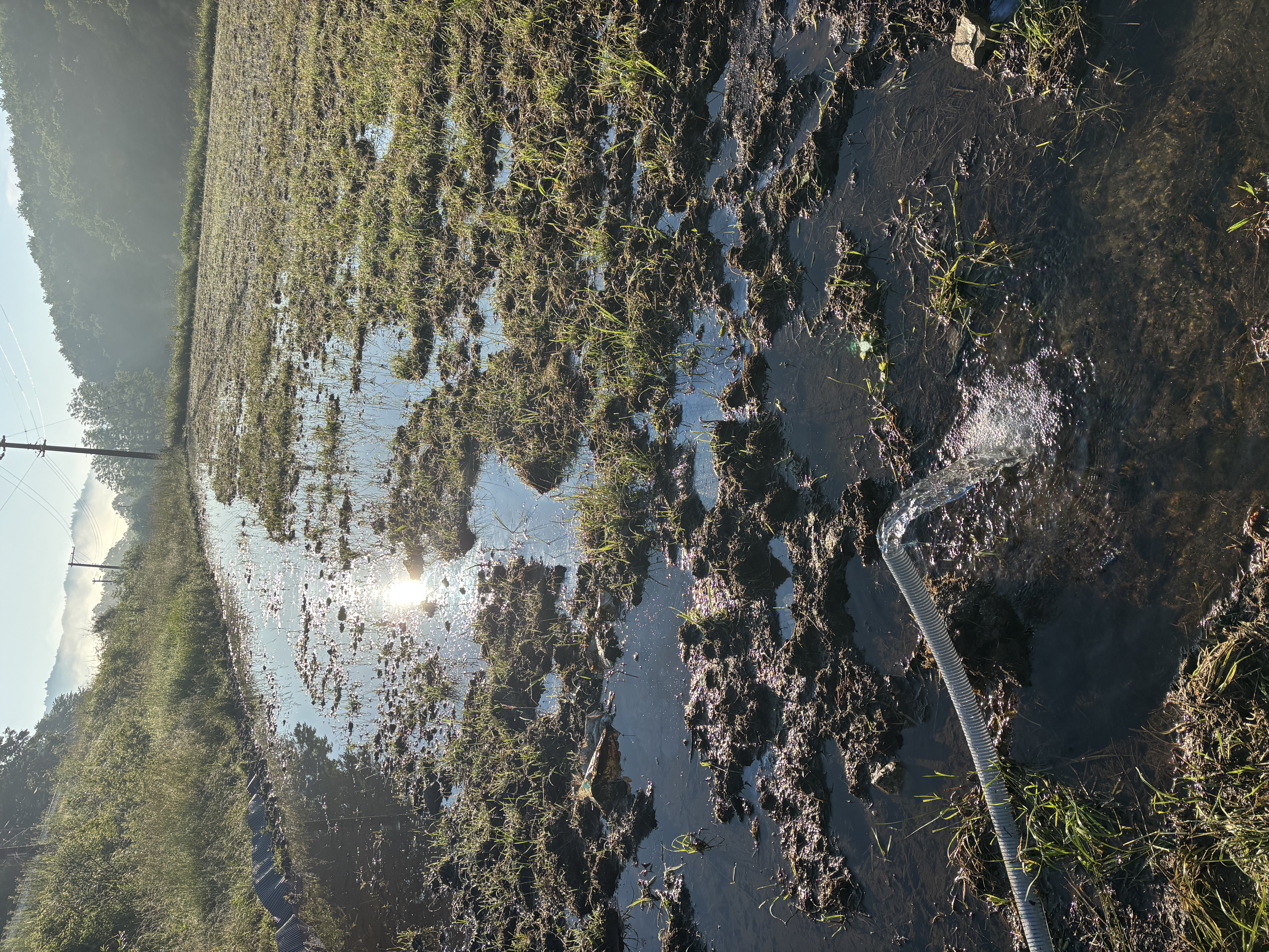 fc965156-07dc-4624-8c2d-9de551847e08.jpg